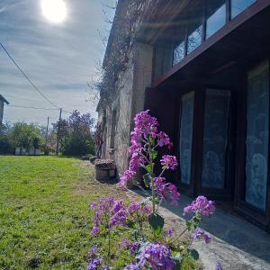Zahrada ubytování Le Petit Aigu + 33 fotografií