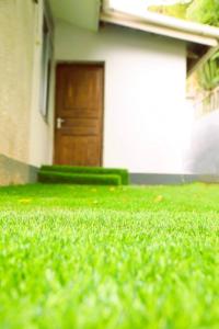 a yard with green grass and a brown door at Tranquil Masaki Stylish Studio in Dar es Salaam