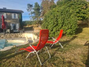 two chairs and a dog standing next to a pool at Room lover Les Chaizes in Saint-Romain-Lachalm