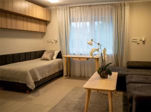 a bedroom with a bed and a couch and a window at Apartamenty Pyskowice in Pyskowice
