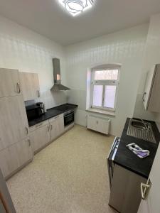 uma cozinha com um fogão e um lavatório em Harzglück em Ballenstedt