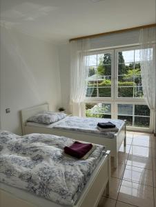 2 Betten in einem Zimmer mit Fenster in der Unterkunft Ferienwohnung 2 mit Garten in Hannover