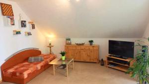 巴特薩羅的住宿－Ferienwohnung direkt am See，带沙发和平面电视的客厅