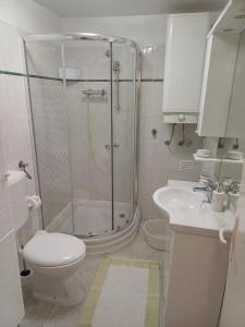 a bathroom with a shower and a toilet and a sink at Apartment Bauk in Draga Bašćanska