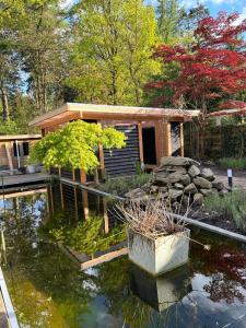 ein kleines Haus mit einem Teich davor in der Unterkunft Artz of Nature in Emmen