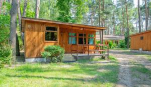 Ogród w obiekcie Ośrodek Moje El Dorado - domki letniskowe