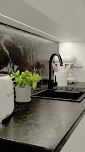 um lavatório de cozinha com uma torneira e duas plantas em Alte Mordgrube em Brand-Erbisdorf