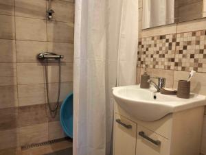 a bathroom with a sink and a shower at Apartament Alma in Srebrna Góra