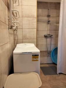 a small bathroom with a toilet and a shower at Apartament Alma in Srebrna Góra
