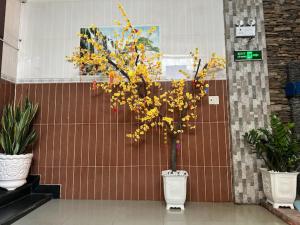 a plant with yellow flowers in a white pot at 158A Hotel in Ho Chi Minh City