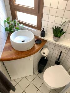 ein Badezimmer mit einem weißen Waschbecken und einem WC in der Unterkunft City Apartment Acqui Terme in Acqui Terme