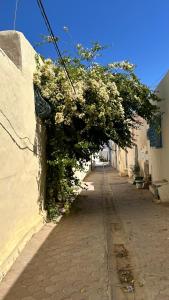 an alley with flowering plants on the side of a building at Séjour de Sarber in Taguermess