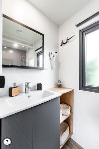 een badkamer met een wastafel en een spiegel bij Camping Les Violettes in La Faute-sur-Mer