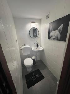 een kleine badkamer met een toilet en een wastafel bij Apartament Koninki in Poręba Wielka
