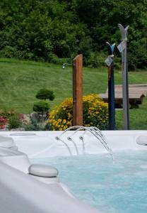 a hot tub with a water fountain in a yard at Hotel Belfiore in Monclassico