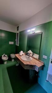 a green bathroom with a sink and a toilet at Botanique Hotel Vergani in Fara Gera dʼAdda