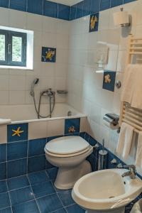 a blue and white bathroom with a toilet and a sink at Tramonti Green in Tramonti