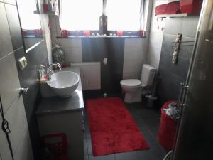 ein kleines Bad mit einem Waschbecken und einem WC in der Unterkunft NOCLEGI u ANI in Otmuchów