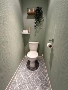 een badkamer met een wit toilet in een kamer bij L' Appart cocoon in Joinville