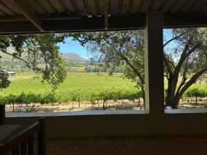 a window with a view of a field at Florie se Huis in Paarl