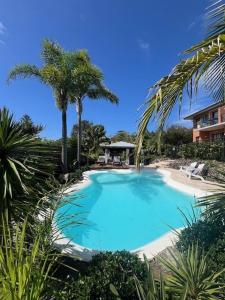 a large blue pool with palm trees and a house at Mollymook Seascape Motel and Apartments in Mollymook