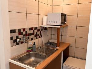 Kuchyňa alebo kuchynka v ubytovaní Apartamenty Gołębia-Economic