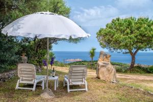 dwa krzesła i parasol przed oceanem w obiekcie La casetta con vista w mieście Trinità dʼAgultu