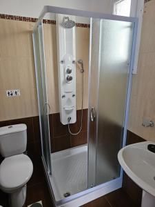 a bathroom with a shower with a toilet and a sink at Alice Maisonette & Studios in Adamantas