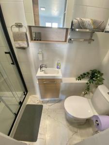ein kleines Bad mit WC und Waschbecken in der Unterkunft Cosy Studio neuf centre-ville in Orsay