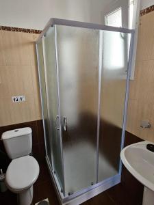 a shower in a bathroom with a toilet and a sink at Alice Maisonette & Studios in Adamantas