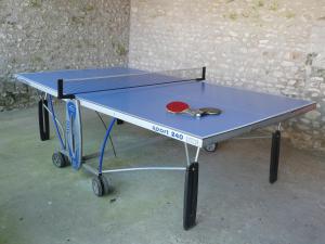 una mesa de ping pong con una paleta de ping pong en Gîte de la Tuilerie, en Ardelu