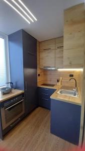 シュコダルにあるApartment Kraja Shkoderのシンクとカウンタートップのあるキッチン