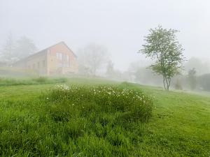 Příroda nedaleko bed and breakfast