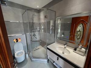 a bathroom with a shower and a toilet and a sink at HOTEL DEHLAVI o in Dushanbe