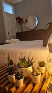 um grupo de vasos de plantas sobre uma mesa em frente a uma cama em Spacious Room without window em Lisboa