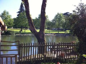 uma cerca de madeira ao lado de um lago com uma árvore em Maison d'artistes jolie et atypique em Vivonne