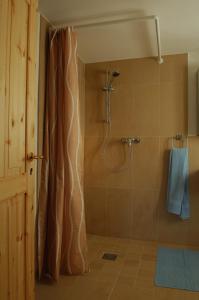 e bagno con doccia e tenda. di Ferienhaus zum Rundling a Pirna