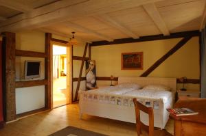 una camera con letto e TV di Ferienhaus zum Rundling a Pirna