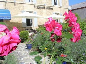 Thiviers的住宿－法蘭西和拉錫酒店，一座花园,花园内种有粉红色的花卉,并配有遮阳伞