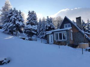 uma pequena casa na neve com árvores em Chalet Maria HOT TUBE SAUNA em Loucná pod Klínovcem