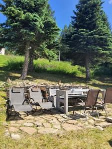 洛奇納波德克利納夫岑的住宿－Chalet Maria HOT TUBE SAUNA，一张野餐桌、椅子和桌子,树木