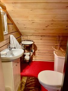 Baño pequeño con lavabo y aseo en Villa Romturas, en Aukštadvaris