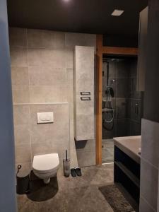 W łazience znajduje się toaleta, prysznic i umywalka. w obiekcie Vijverburcht w mieście Terzool
