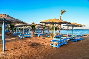 a beach with blue chairs and umbrellas and the ocean at Eagles down town Zahabia &Beach Resort in Hurghada