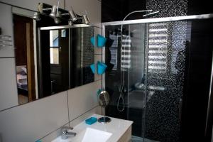 a bathroom with a shower and a sink and a mirror at Sur les Pas de Cadet Roussel in Auxerre +11 photos