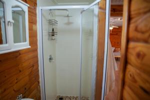 una doccia con porta in vetro in bagno di Olifantskrans River Cabins a Bonnievale