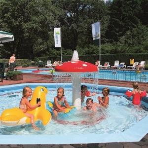 un grupo de niños jugando en una piscina con sombrilla en vakantiehuisje Holterberg, en Holten