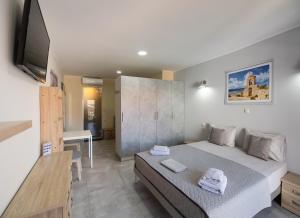 een slaapkamer met een groot bed en een televisie bij Excess Pansion in Lefkada