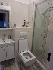 Apartman Felis Star في ديفشيبار: حمام مع مرحاض ودش زجاجي +18 صورة