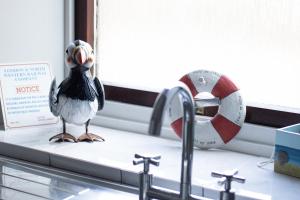 a bird sitting on a counter next to a sink at Beach House in Berwick Upon Tweed - 2 Double Bedrooms in Spittal